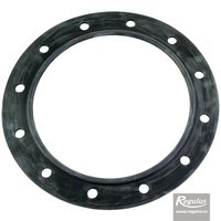 Picture: Flange gasket for PS2F, PSWF tanks