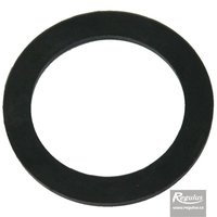 Picture: 6/4“  Union gasket for pump
