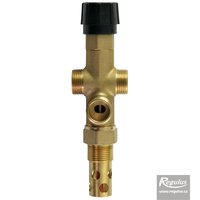 DBV1 Thermal Relief Valve Picture: DBV1 Thermal Relief Valve