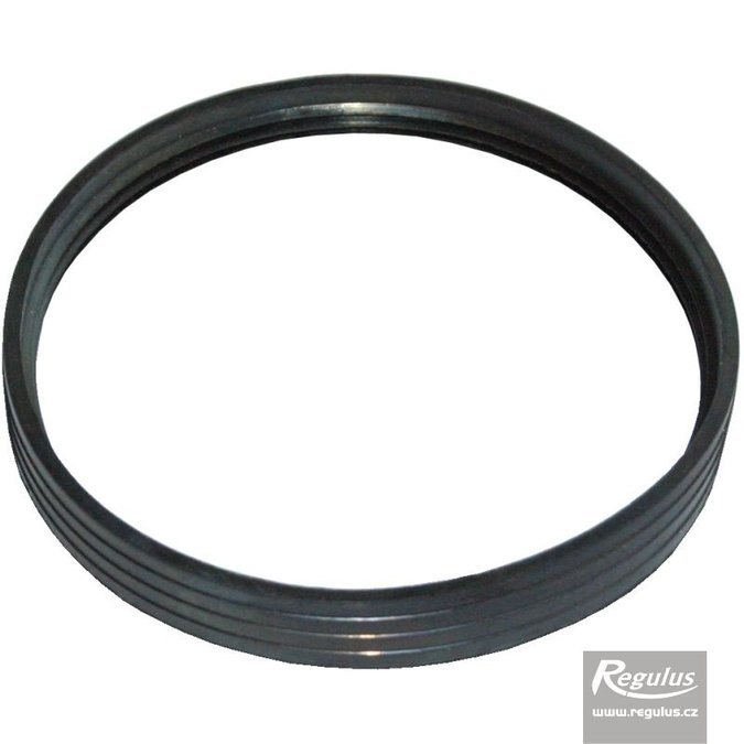 Photo: 100 mm Gasket, 2 lips, for PP