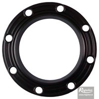 Picture: Flange Gasket for RxDC 300 tanks