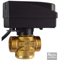 Picture: LK525 G 1" Two-way Zone Gate Valve