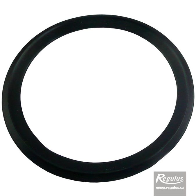 Photo: RegulusFLEX Sealing Ring, 80 mm diam.