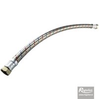 Picture: Braided Hose 2x 5/4" F