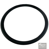 Picture: RegulusFLEX Sealing Ring, 100 mm diam.