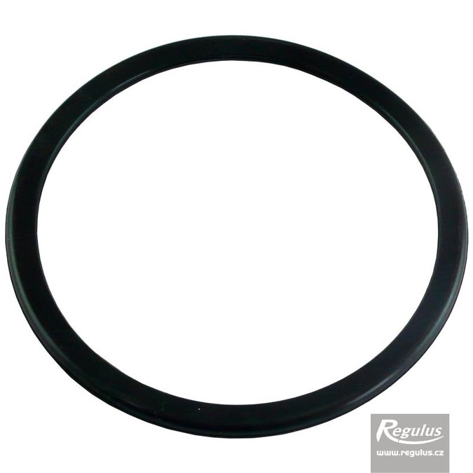 Photo: RegulusFLEX Sealing Ring, 125 mm diam.