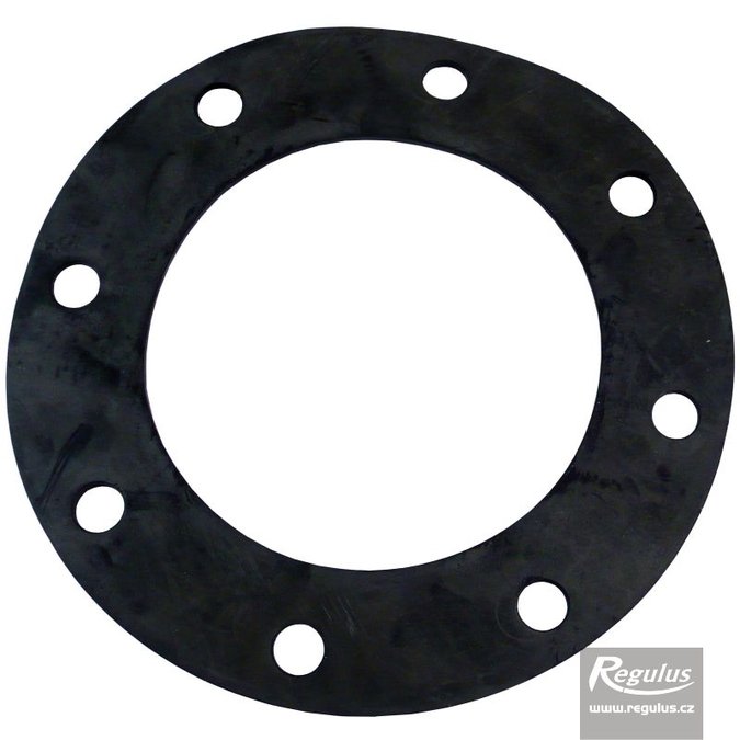 Photo: Flange Gasket for DUO E 380/120, d=260 mm