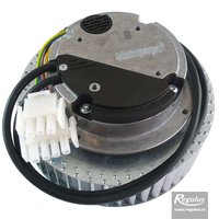 Picture: Motor for Sentinel Kinetic B, supply