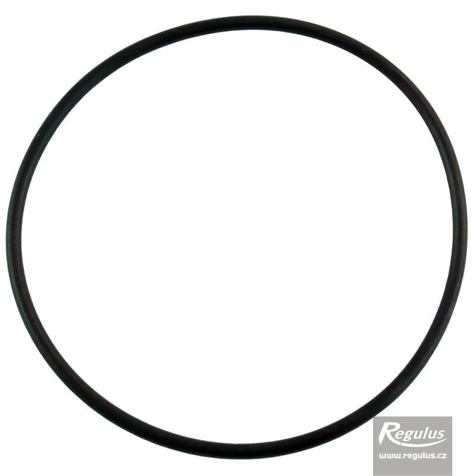 Photo: O-ring, 98x3.53, for lid with filter -  for DOS25