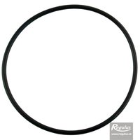 Picture: O-ring, 98x3.53, for lid with filter -  for DOS25
