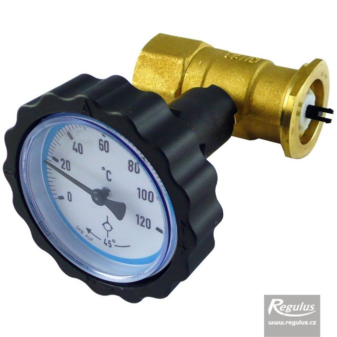 Photo: Valve w. blue thermometer, 1"F/flange for 6/4" nut + check valve