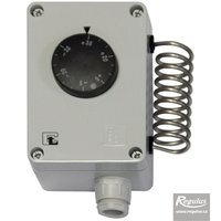 Picture: Termostat de cameră, carcasat, senzor inox  -35/+35°C, IP 55